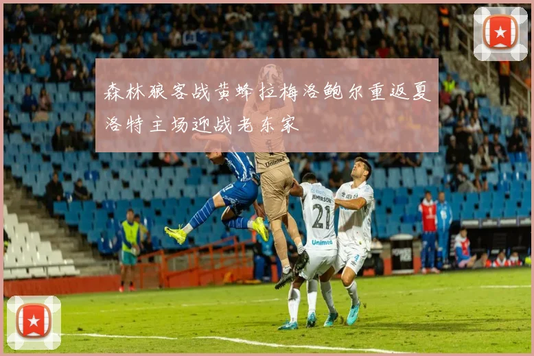 森林狼客战黄蜂拉梅洛鲍尔重返夏洛特主场迎战老东家